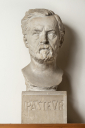 Luis_Pasteur.jpg